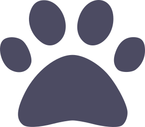 Ícone indicando produto livre de crueldade com animais